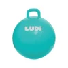 Ballon Sauteur Xxl Bleu