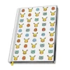 Cahier A5 Pokemon