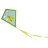 Cerf-Volant Dragon