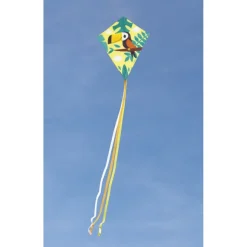 Cerf-Volant Toucan