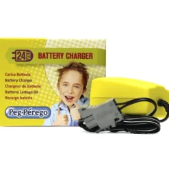 Chargeur De Batterie 24V