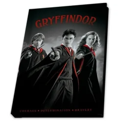 Coffret Cadeau Harry Potter