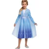 Deguisement Elsa - Taille 5/6 Ans