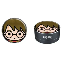 Enceinte Harry Potter