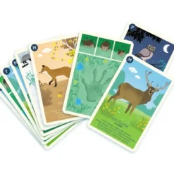 Jeu De 9 Familles Foret