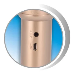 Micro Bluetooth Karaoké