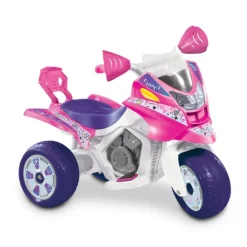 Moto Electrique 3 Roues