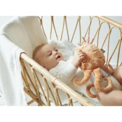 Peluche Bouillotte Chaud Et Froid Poulpe