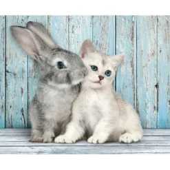 Puzzle 500 Pieces - Chat Et Lapin