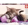 Puzzle 500 Pieces Compagnons De Reves