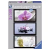 Puzzle 3X500 Triptyque Ambiance Zen